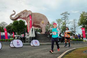 BIB: 
                            <button type="button" onclick="openModal(26529016)" class="btn btn-primary btn-sm float-right btn-popup" data-toggle="modal" data-target=".modal-high-quality">
                        <i class="fas fa-shopping-cart"></i> Add to Cart
                    </button>
                                            <button type="button" onclick="isThisMe(26529016, true)" class="btn btn-success btn-sm float-right btn-popup btn-isme hidden" data-toggle="tooltip" data-placement="bottom" title="นี่คือรูปของคุณใช่ไหม คลิกที่นี่เพื่อเอาเข้าอัลบั้ม">
                        <i class="fas fa-plus"></i> Add to album
                    </button>
                    <button type="button" onclick="isThisMe(26529016, false)" class="btn btn-warning btn-sm float-right btn-popup btn-isnotme hidden">
                        <i class="fas fa-ban"></i> Remove from album
                    </button>